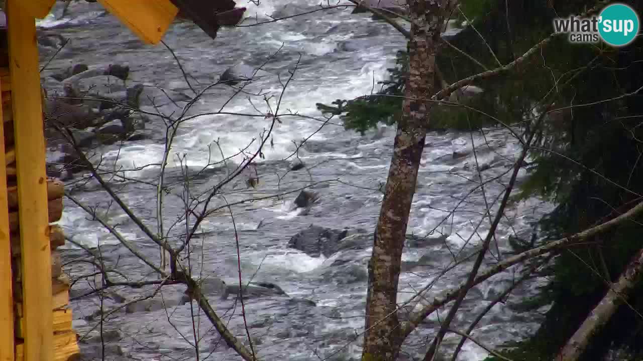 Spletna kamera Lukanja – Water Village | Pohorje Houses