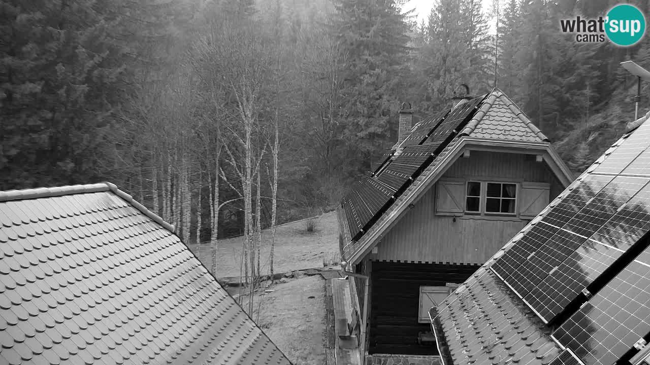 Webcam Lukanja – Water Village | Pohorje Houses