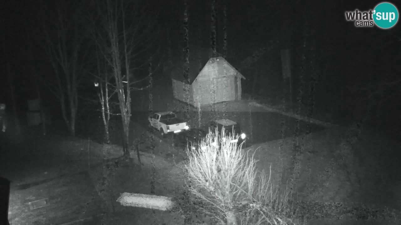 Webcam Lukanja – Water Village | Pohorje Houses