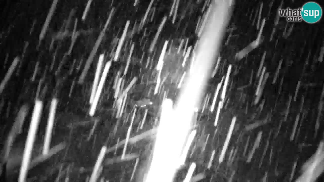 Webcam Lukanja – Water Village | Pohorje Houses