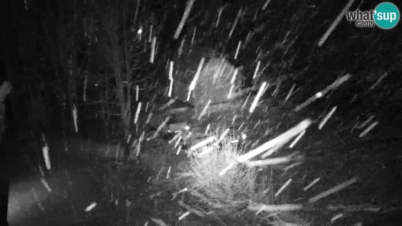 Webcam Lukanja – Water Village | Pohorje Houses