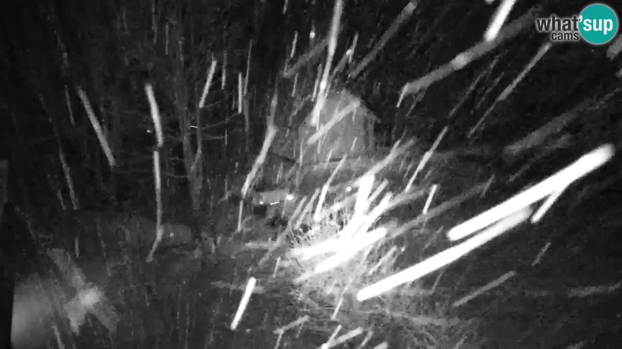 Webcam Lukanja – Water Village | Pohorje Houses