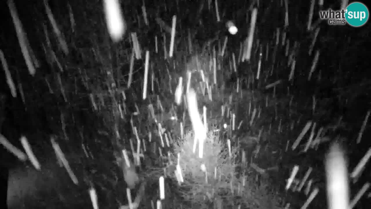 Webcam Lukanja – Pohorje houses a Water village