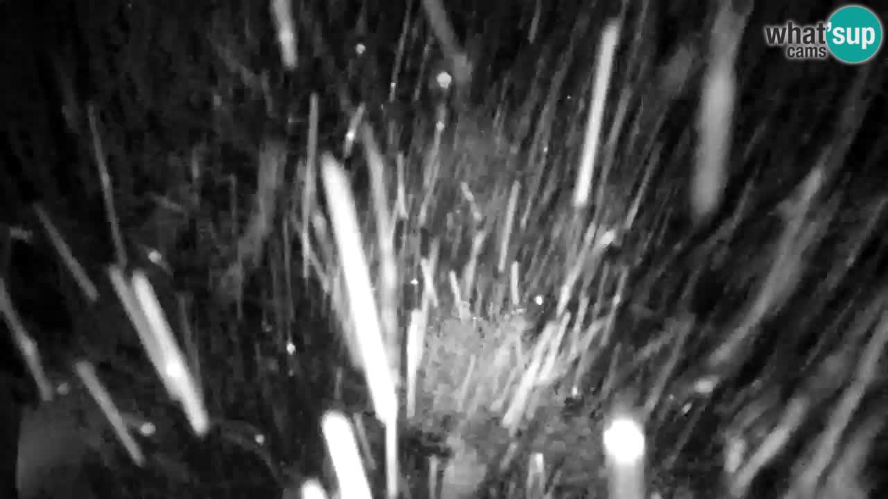 Webcam Lukanja – Water Village | Pohorje Houses