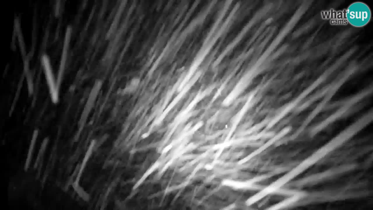 Webcam Lukanja – Pohorje houses a Water village