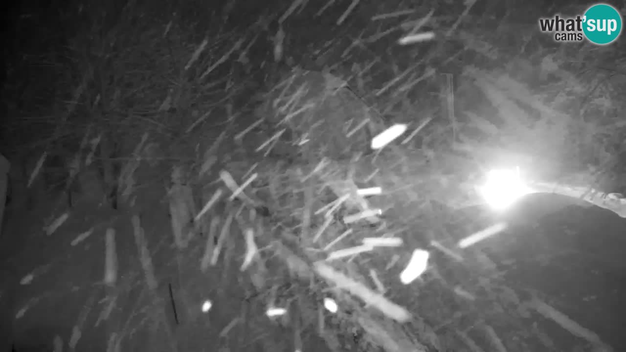 Webcam Lukanja – Water Village | Pohorje Houses