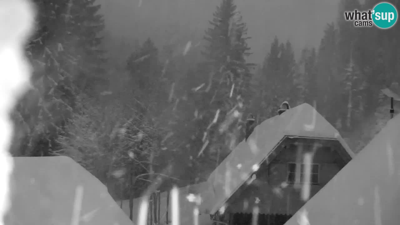 Webcam Lukanja – Water Village | Pohorje Houses