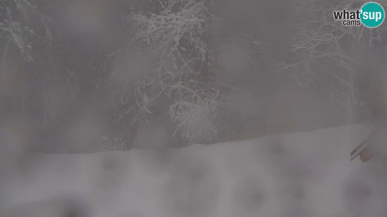 Webcam Lukanja – Pohorje houses a Water village