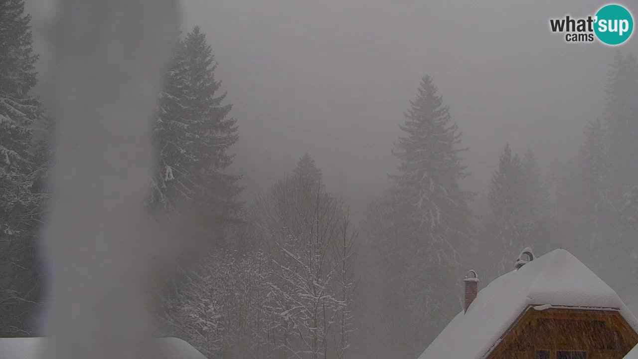 Webcam Lukanja – Pohorje houses a Water village