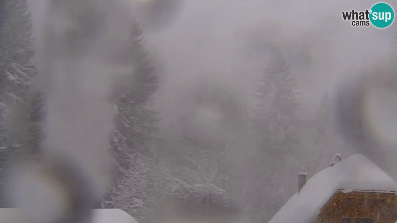 Webcam Lukanja – Water Village | Pohorje Houses