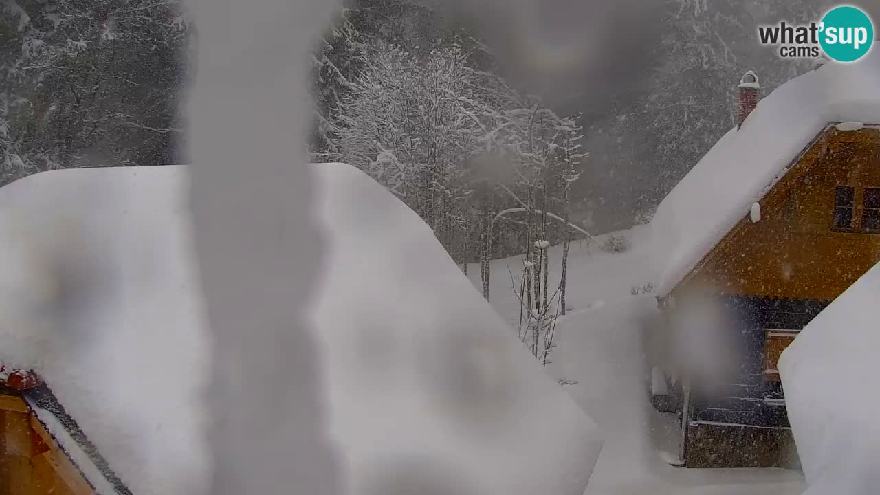 Web kamera Lukanja – Water Village | Pohorje Houses