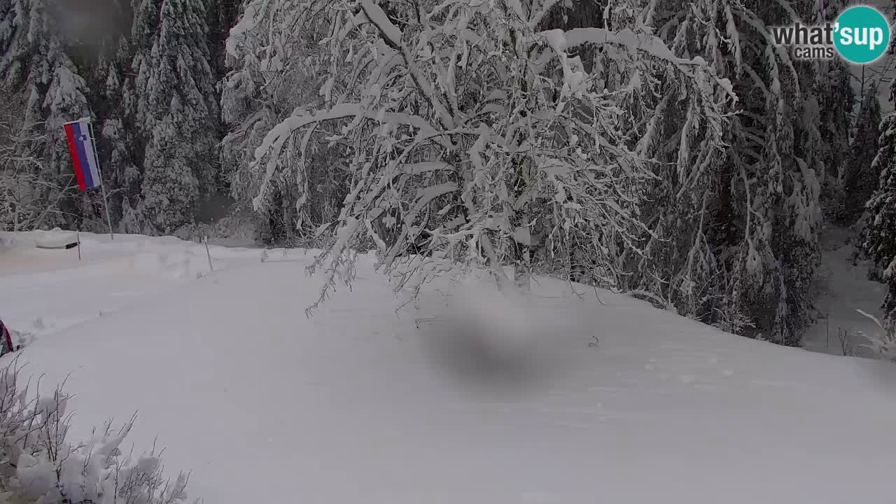 Web kamera Lukanja – Water Village | Pohorje Houses