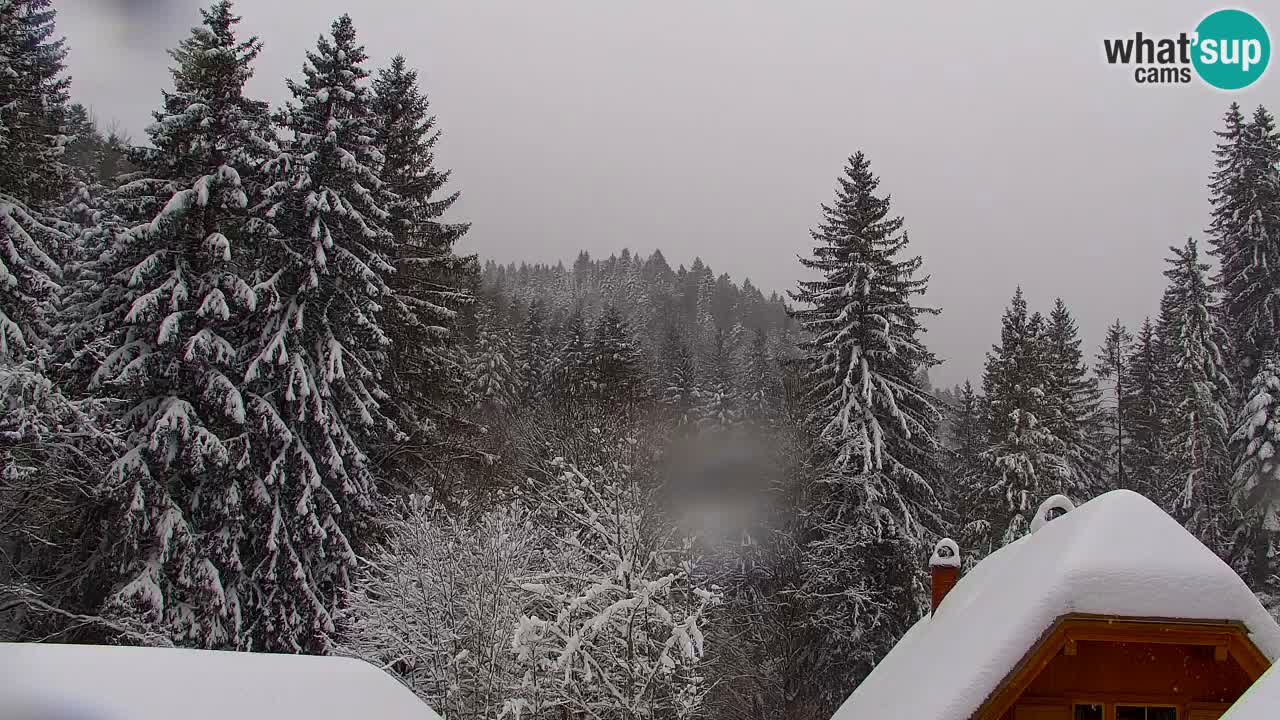 Webcam Lukanja – Water Village | Pohorje Houses