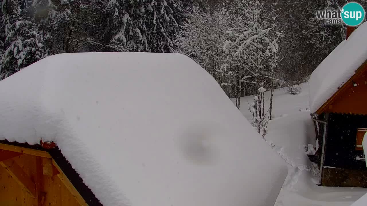 Webcam Lukanja – Pohorje houses a Water village