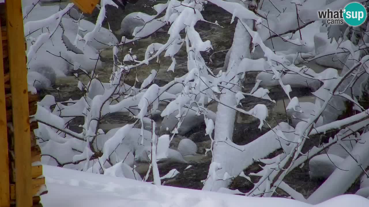 Spletna kamera Lukanja – Water Village | Pohorje Houses