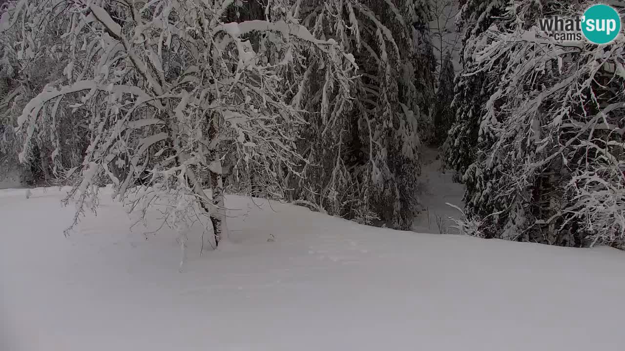 Spletna kamera Lukanja – Water Village | Pohorje Houses
