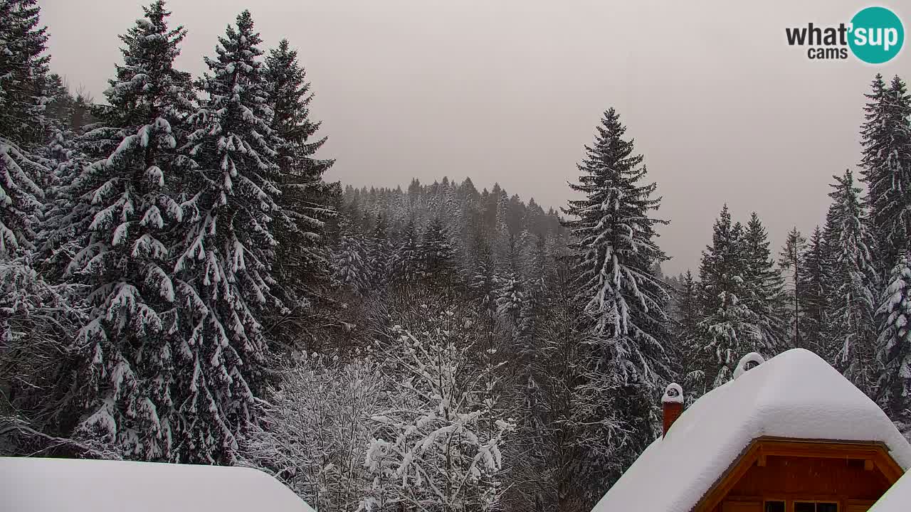 Web kamera Lukanja – Water Village | Pohorje Houses