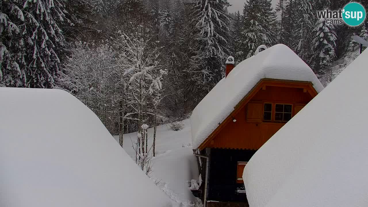 Webcam Lukanja – Water Village | Pohorje Houses