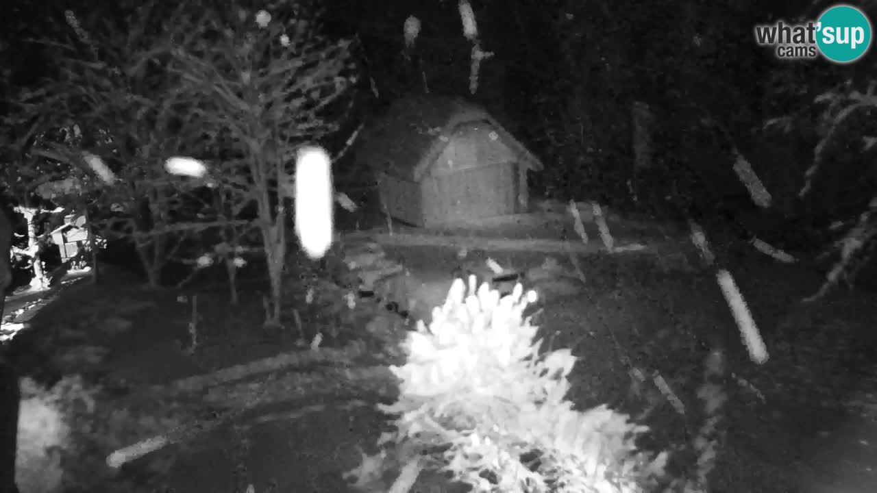 Webcam Lukanja – Water Village | Pohorje Houses