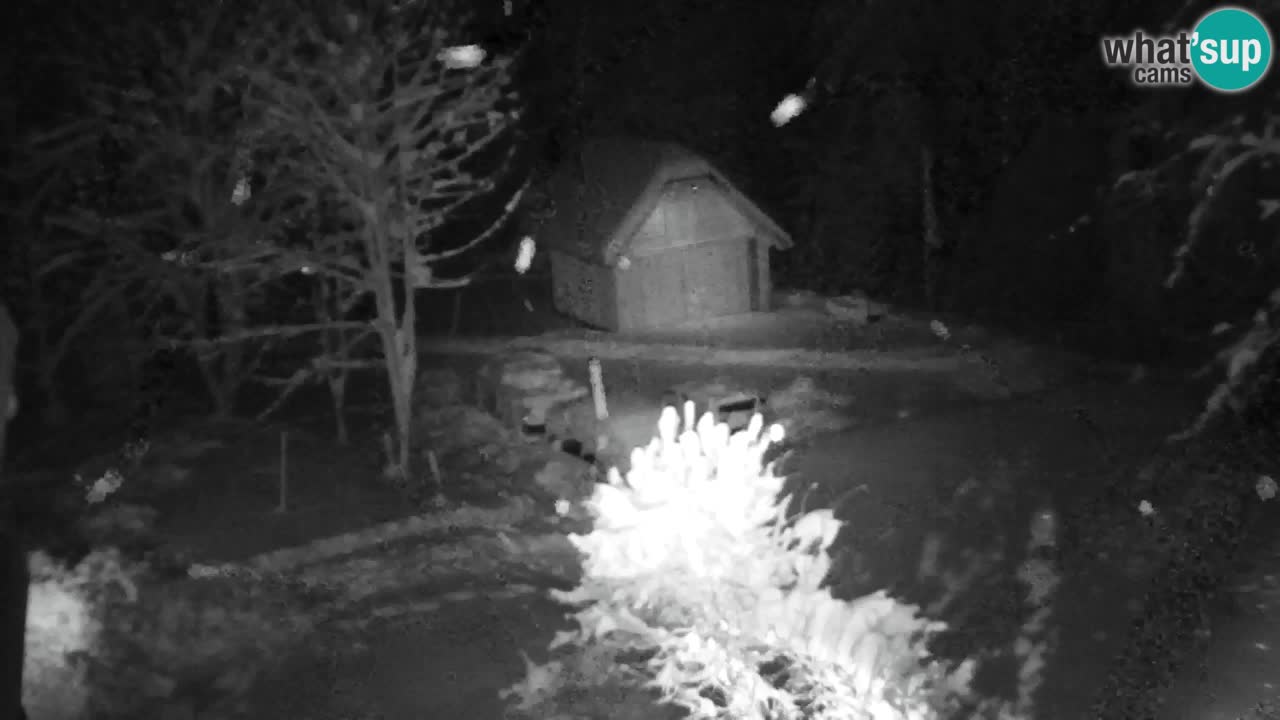 Webcam Lukanja – Water Village | Pohorje Houses