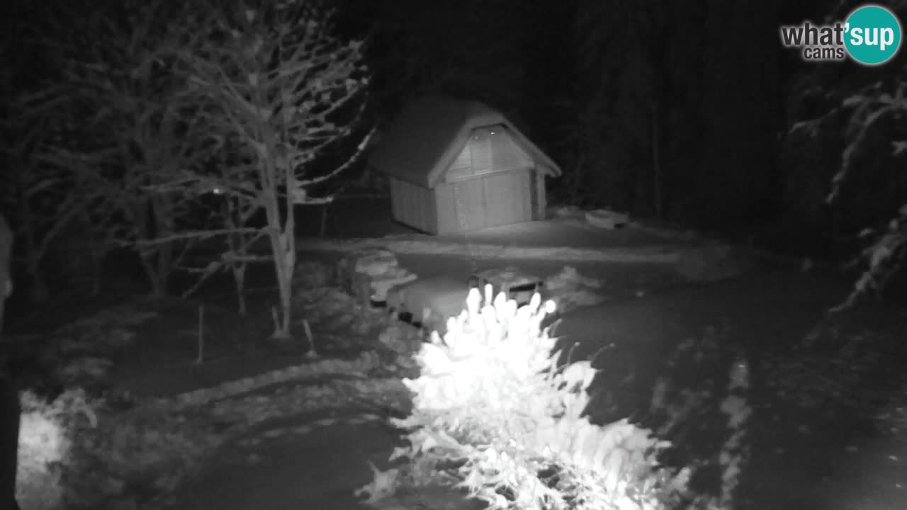 Webcam Lukanja – Water Village | Pohorje Houses