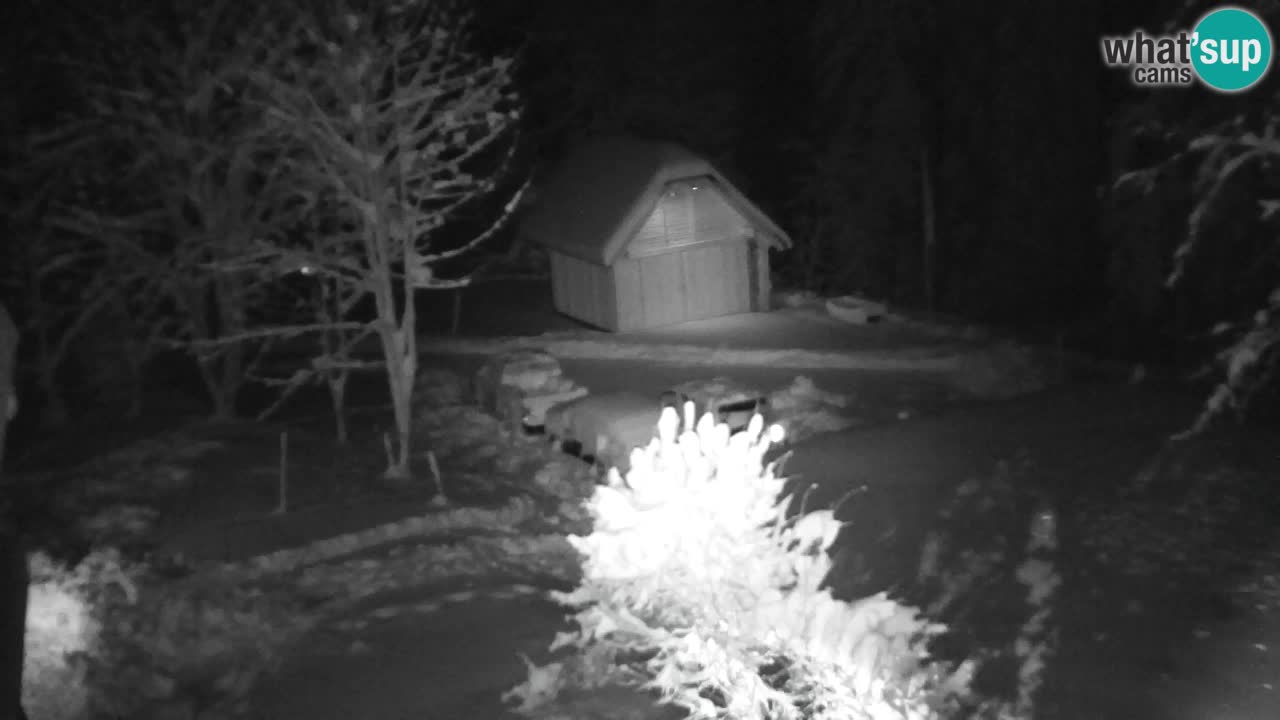 Spletna kamera Lukanja – Water Village | Pohorje Houses