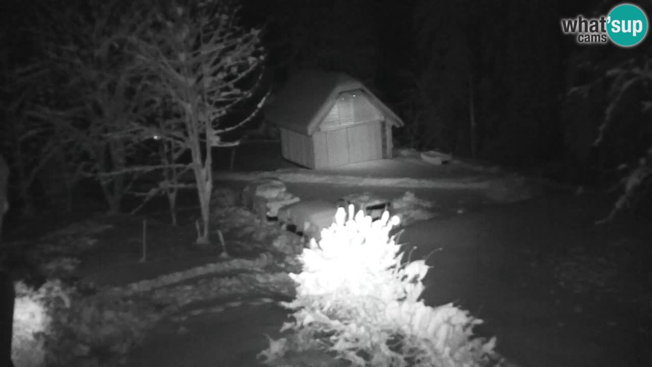 Webcam Lukanja – Water Village | Pohorje Houses