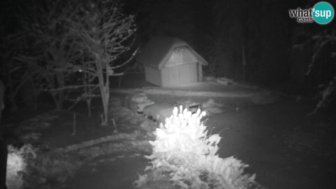 Webcam Lukanja – Water Village | Pohorje Houses