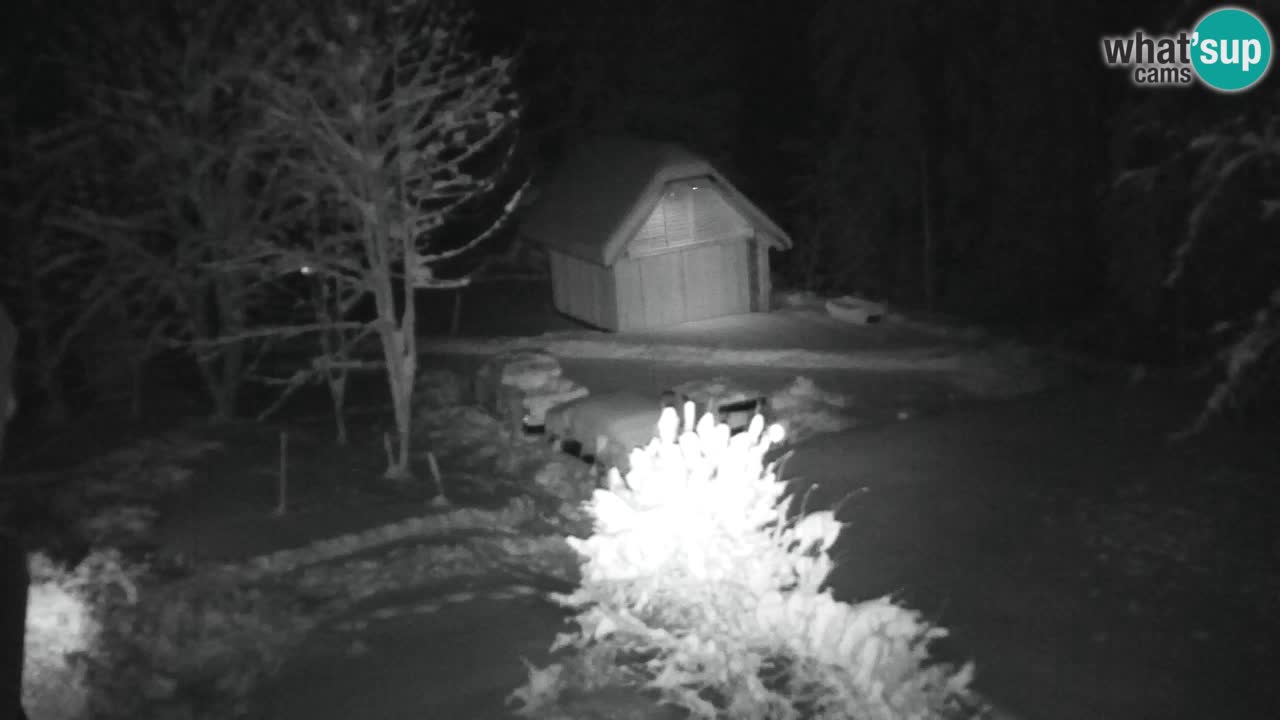 Webcam Lukanja – Water Village | Pohorje Houses