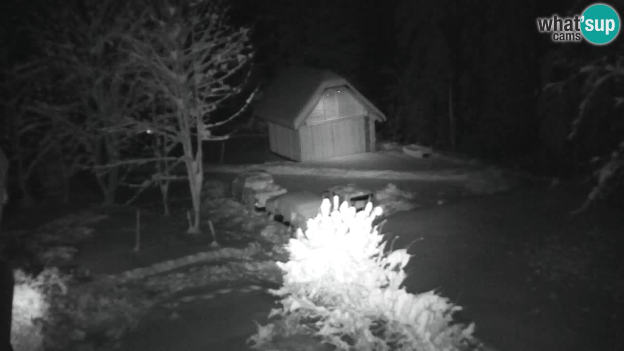 Webcam Lukanja – Water Village | Pohorje Houses