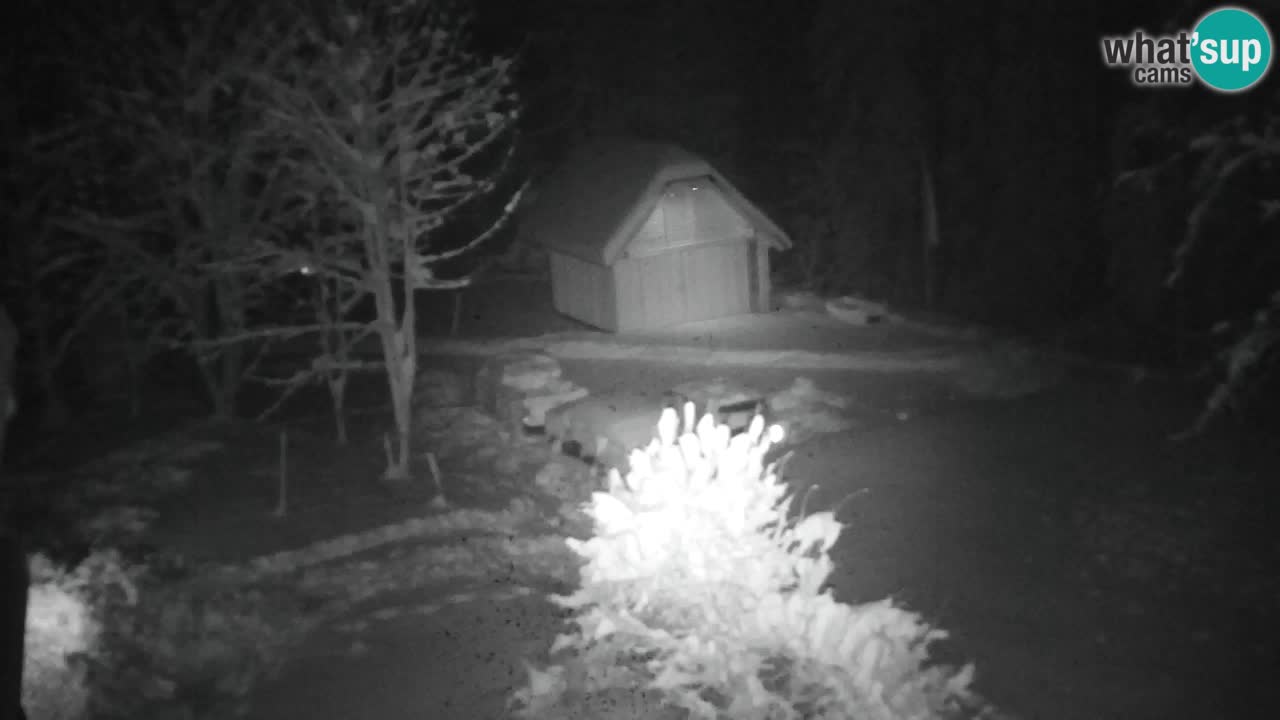 Webcam Lukanja – Pohorje houses a Water village