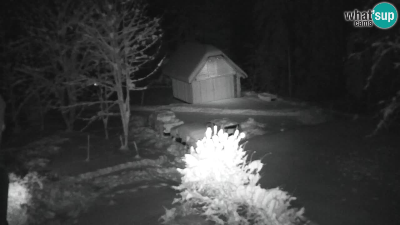 Webcam Lukanja – Water Village | Pohorje Houses