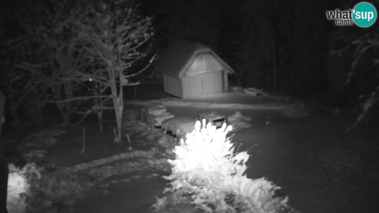 Webcam Lukanja – Pohorje houses a Water village