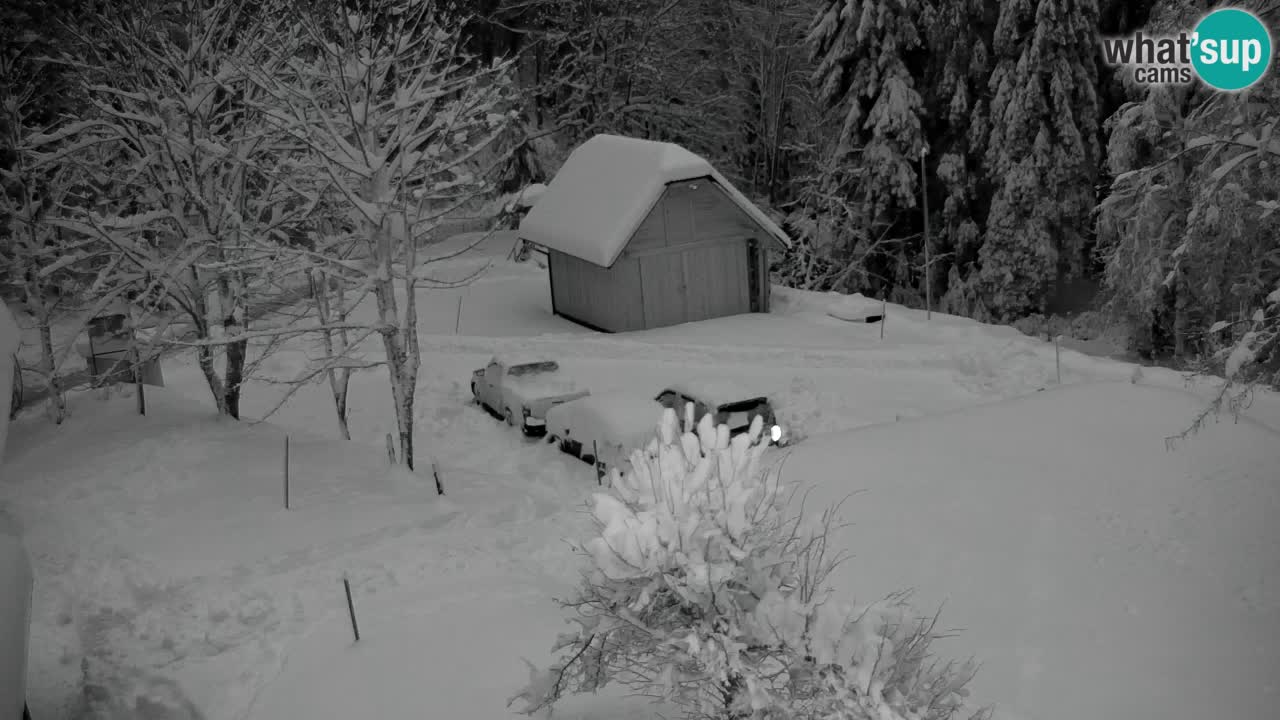Web kamera Lukanja – Water Village | Pohorje Houses