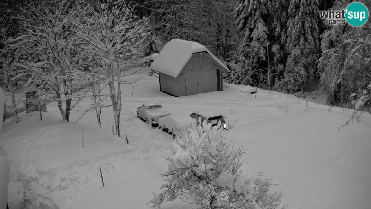 Webcam Lukanja – Water Village | Pohorje Houses