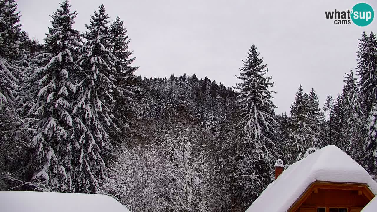 Webcam Lukanja – Pohorje houses a Water village