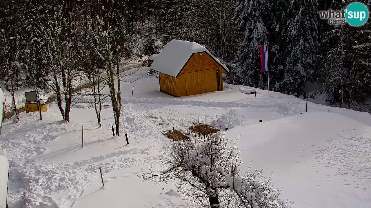 Webcam Lukanja – Water Village | Pohorje Houses