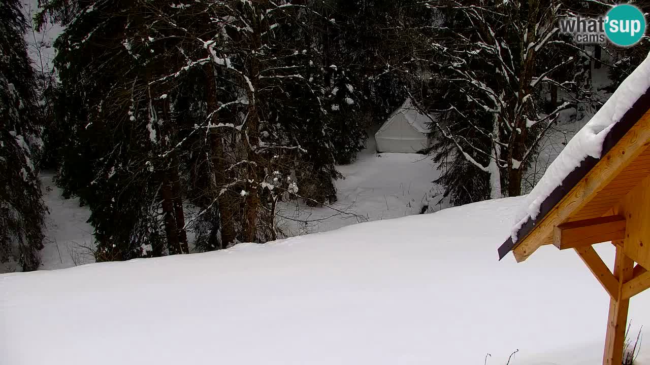 Webcam Lukanja – Pohorje houses a Water village