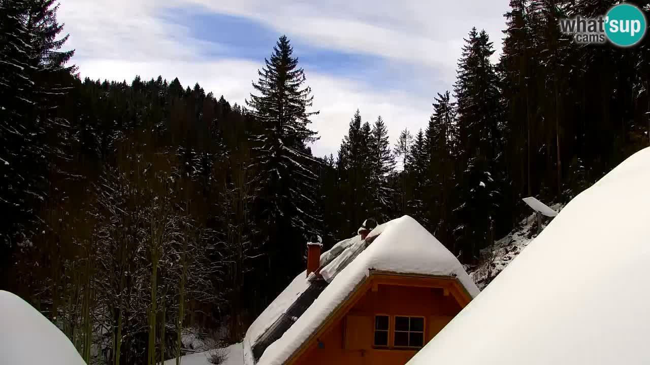 Web kamera Lukanja – Water Village | Pohorje Houses
