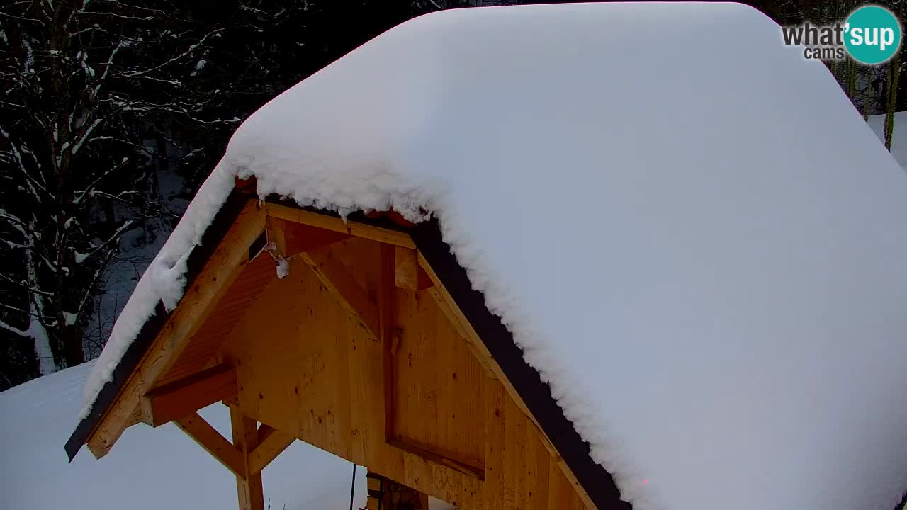 Webcam Lukanja – Water Village | Pohorje Houses