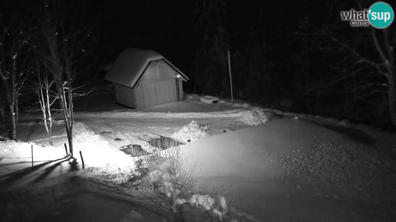 Webcam Lukanja – Pohorje houses a Water village