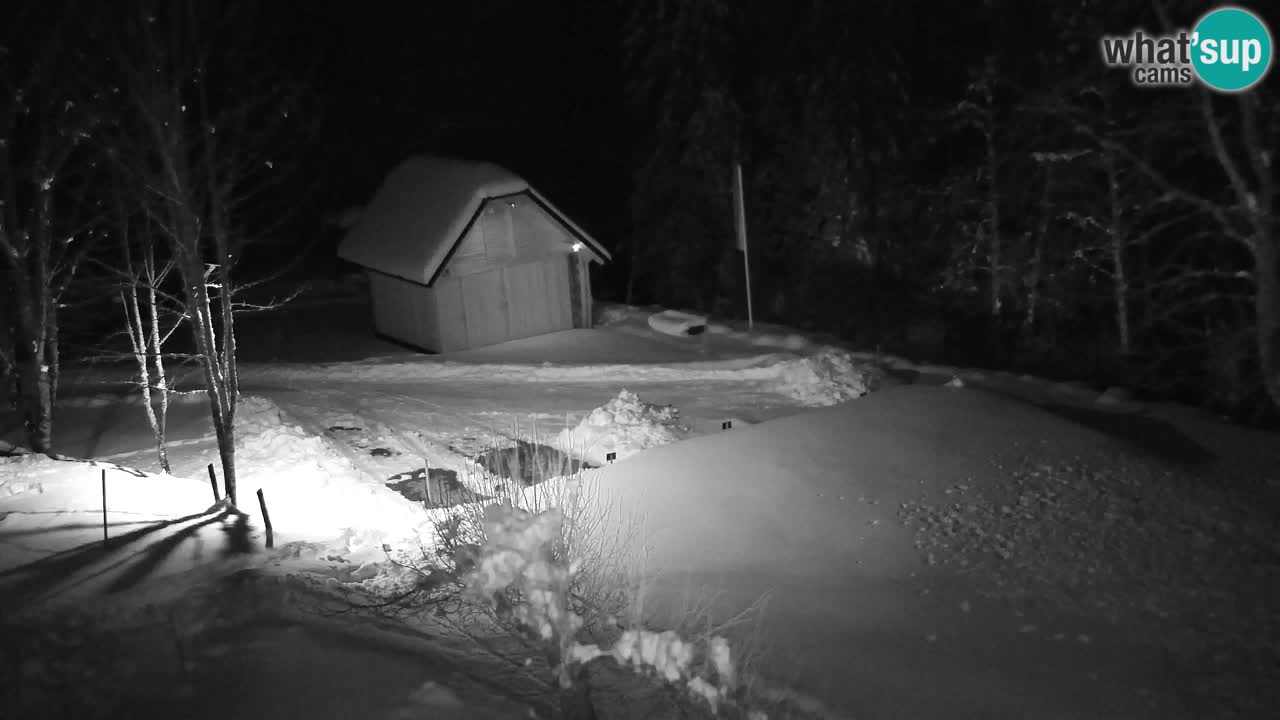 Webcam Lukanja – Water Village | Pohorje Houses