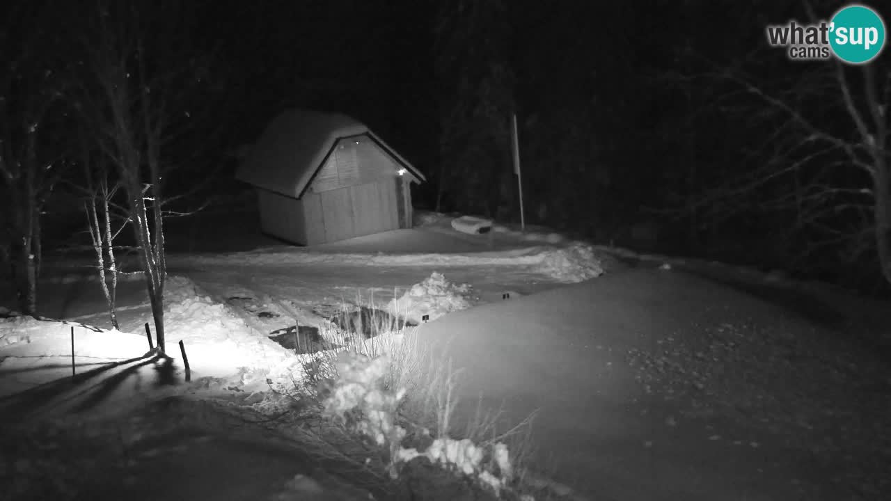 Webcam Lukanja – Water Village | Pohorje Houses