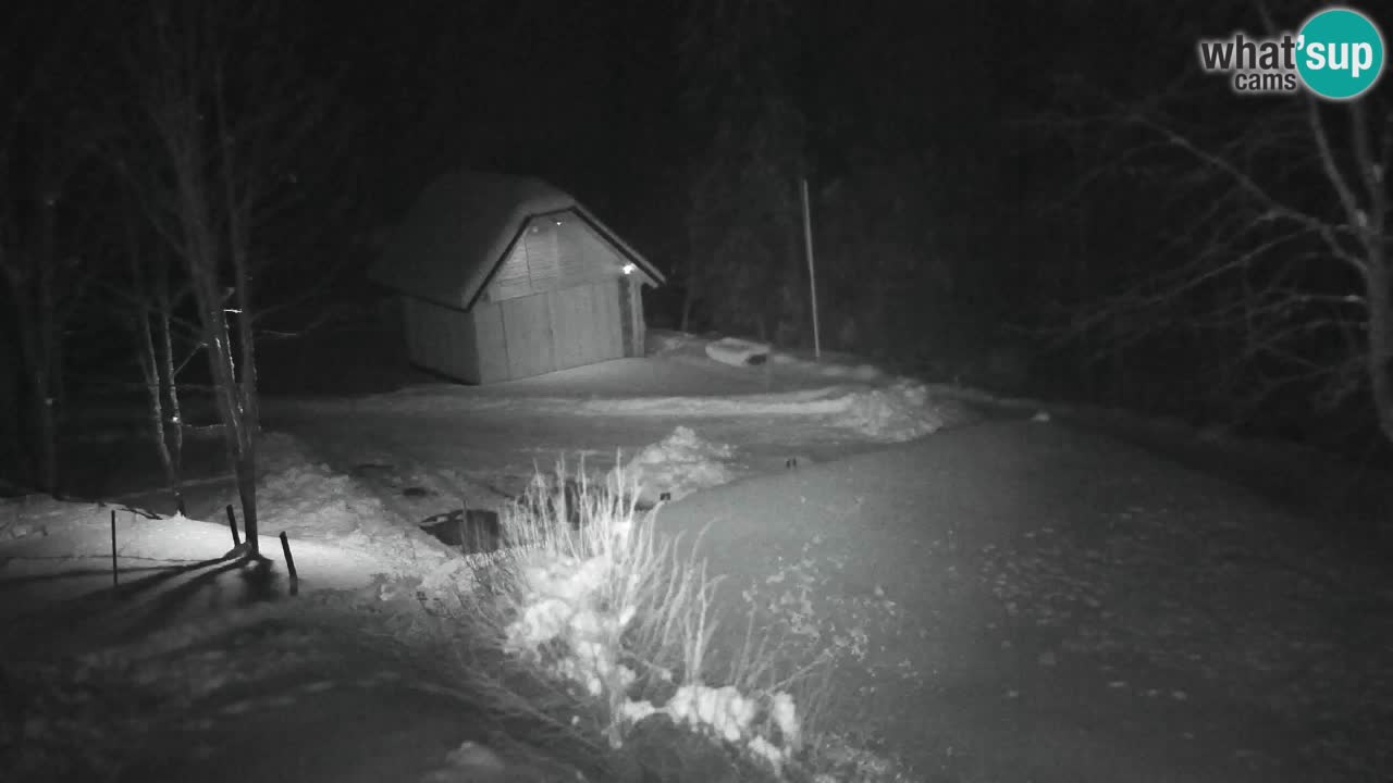 Webcam Lukanja – Pohorje houses a Water village