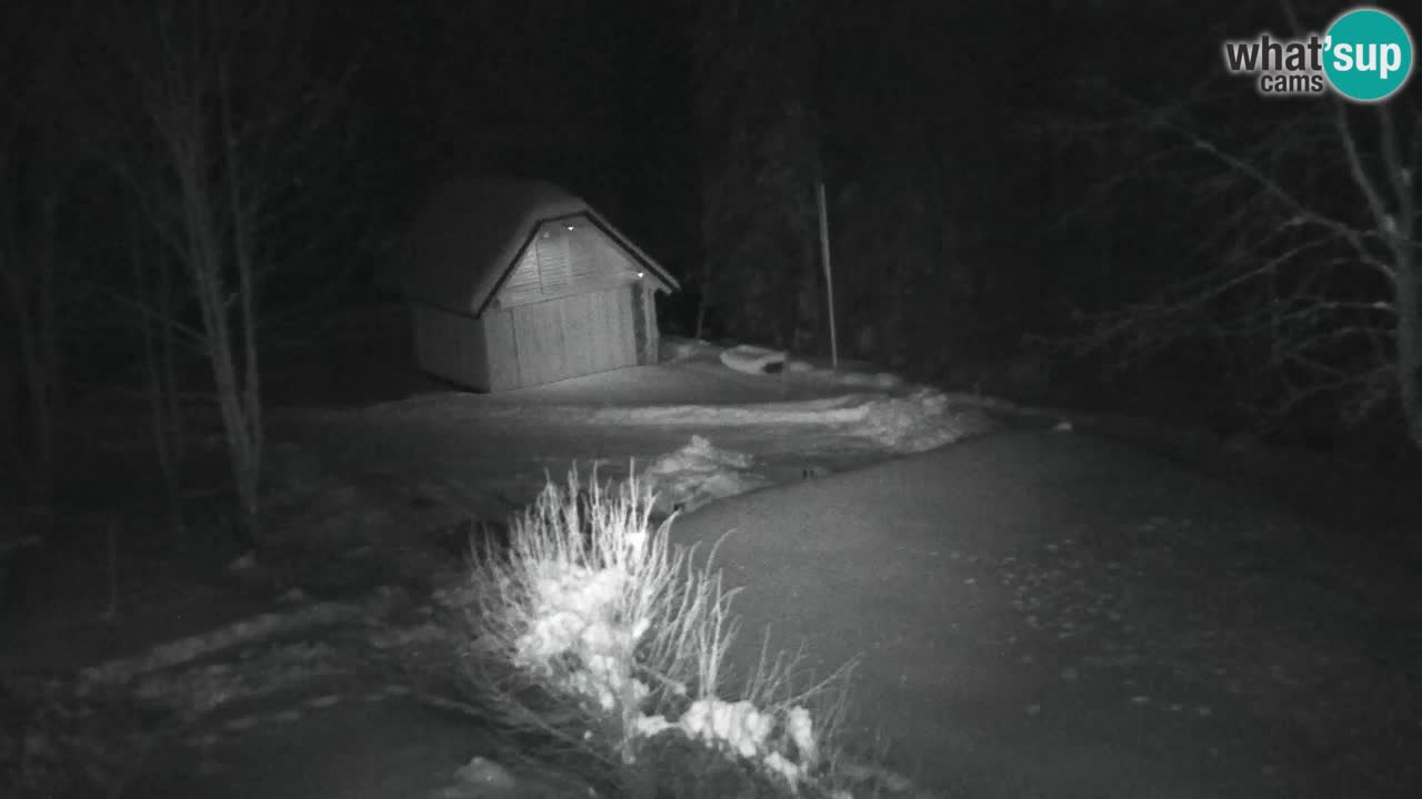 Webcam Lukanja – Pohorje houses a Water village