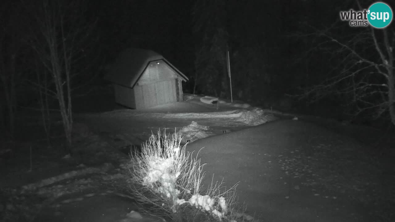 Webcam Lukanja – Water Village | Pohorje Houses