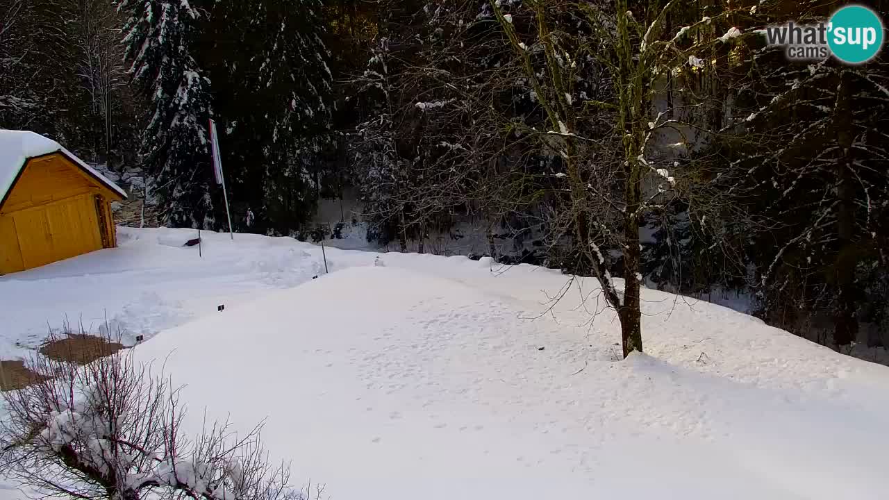 Webcam Lukanja – Pohorje houses a Water village