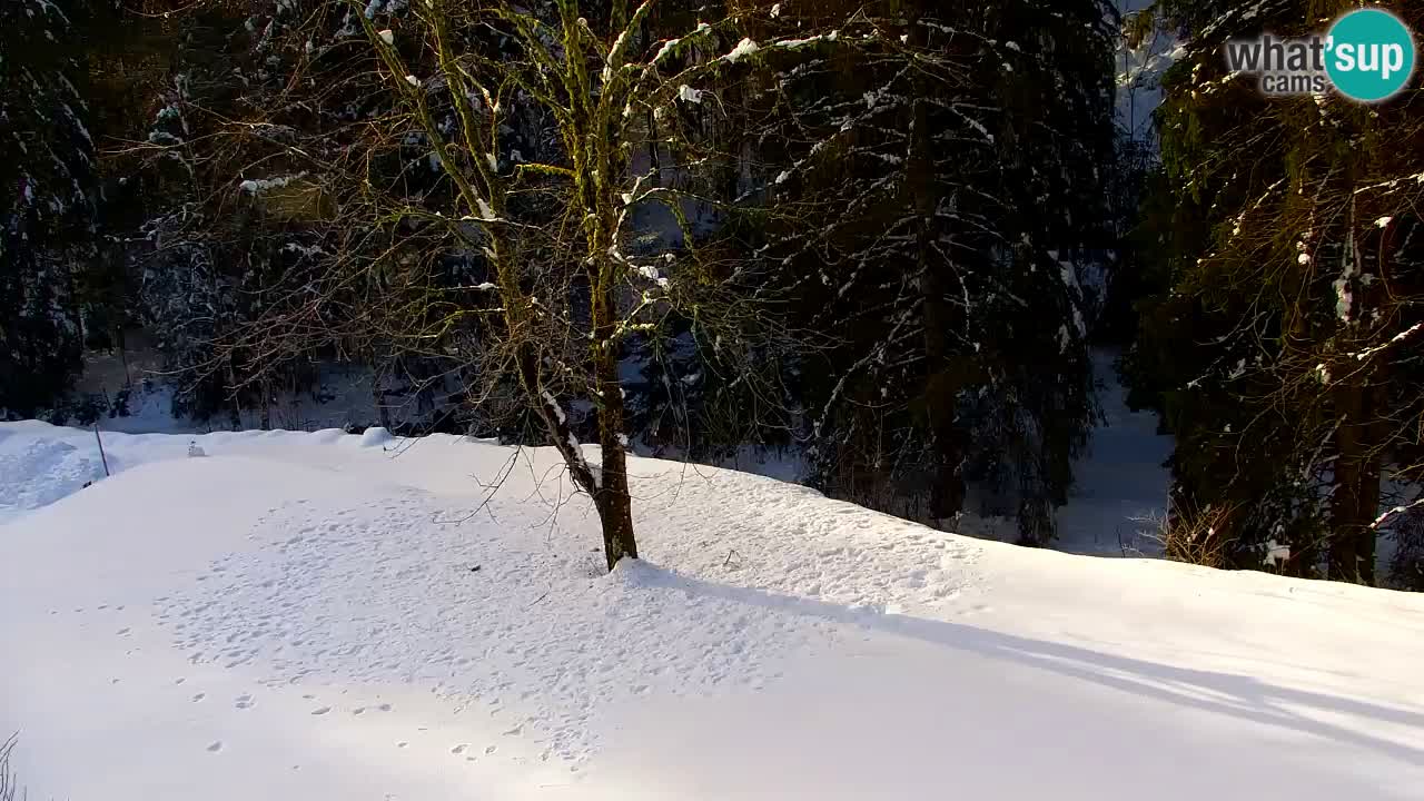 Webcam Lukanja – Water Village | Pohorje Houses