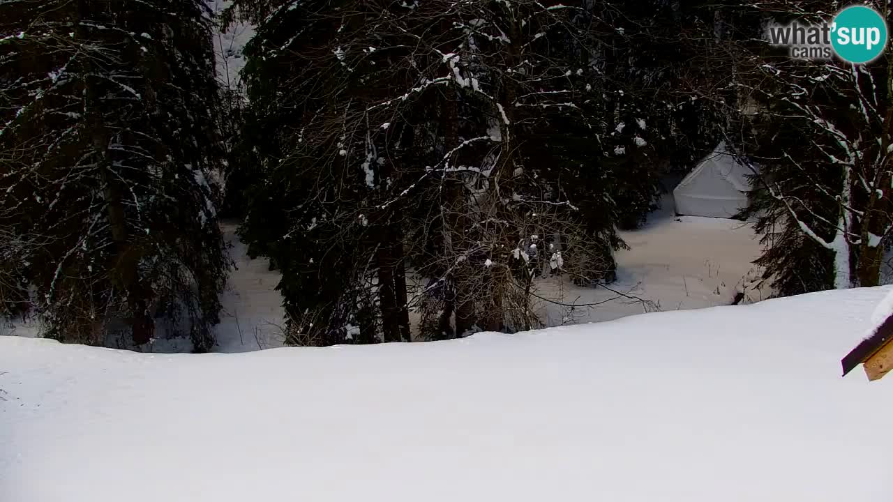 Web kamera Lukanja – Water Village | Pohorje Houses