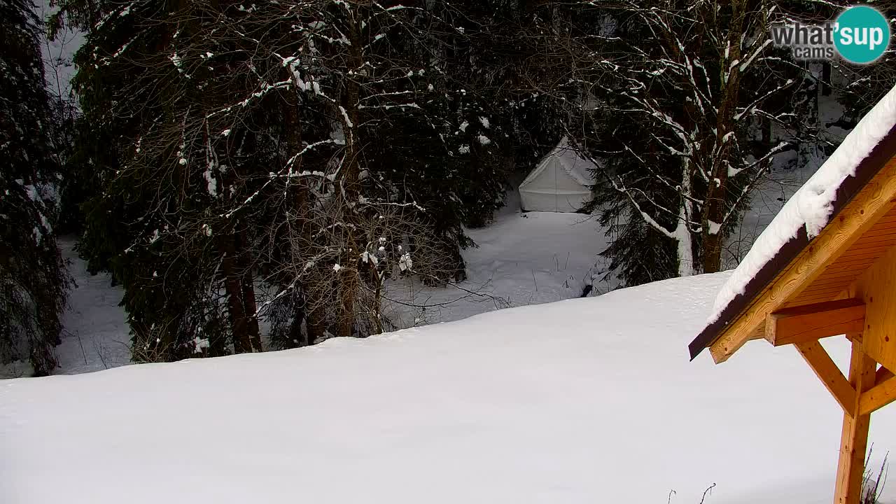 Webcam Lukanja – Water Village | Pohorje Houses